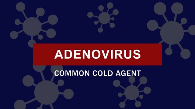 Adenovirus common cold agent medical infographic animation: scientific visualization of viral pathogens and respiratory infection concepts