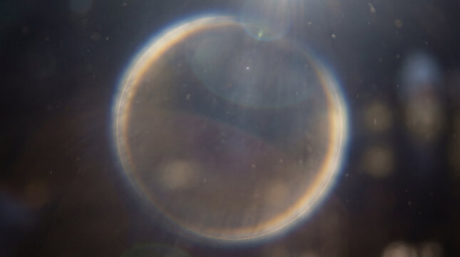 abstract light effects, a luminous, abstract glowing ring with a soft, transparent halo effect