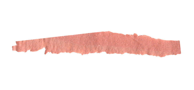 A single pink paint brush stroke made with textured acrylic paint