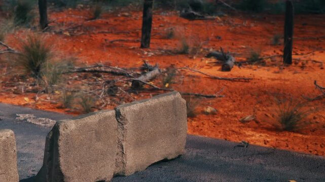 A large stone block sits on a stretch of road in a rural area. The surrounding ground is covered with reddish soil and scattered branches. The scene shows a quiet and dry setting in the afternoon.