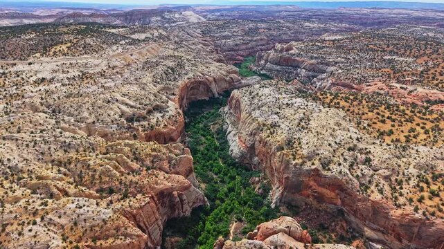 Detailed drone view reveals the deep sandstone canyon of Boulder Creek winding past Durffey Mesa along The Hogback in southern Utah