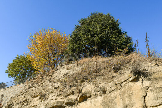 The historic castle rock cliff with autumn trees in Diano d'Alba, Langhe, Piedmont, Italy