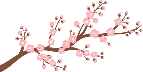 Fototapeta premium Pink cherry blossom branches with white flowers on brown wooden background