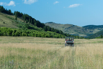 Fototapeta premium Family riding a side-by-side UTV through an open mountain meadow in Alberta, Canada, surrounded by rolling hills, evergreen forest, and summer grassland.
