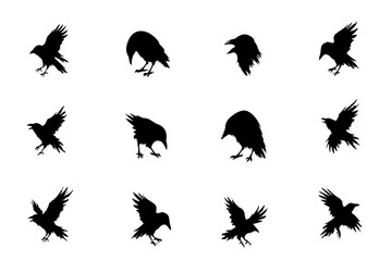 Naklejka premium Black Crow Raven Silhouette Set Flying and Perched Birds