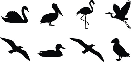 Fototapeta premium Set of black water bird silhouettes featuring swans, pelicans, flamingos, and flying seagulls