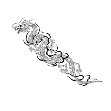 vector illustration of tattoo dragon skull