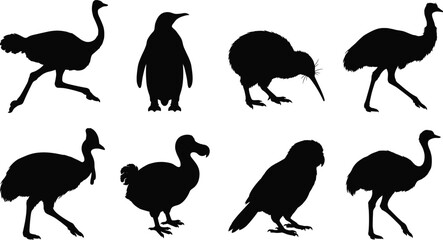 Set of black silhouettes representing flightless birds and exotic wildlife species © Designer Arif