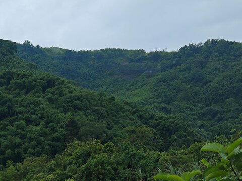 Rolling Green Hills Landscape
