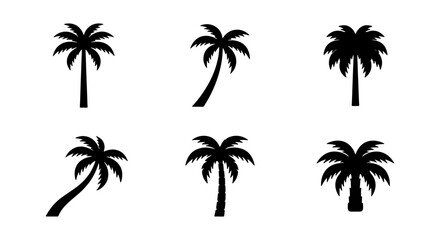 Fototapeta premium Black Palm Tree Icons Set, Tropical Silhouette Collection, Vector Graphic Elements for Summer and Beach Designs