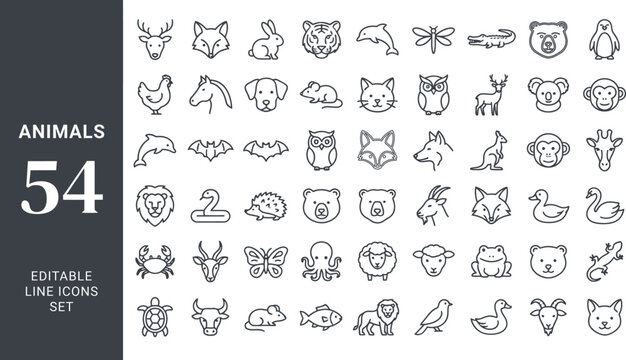 Set of fifty four animal line icons featuring wildlife heads pets birds marine creatures pet heads bird icons marine animals line art