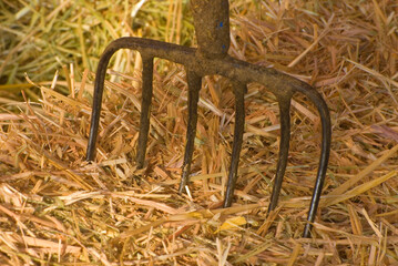 Pitchfork, Oregon State Fair, Salem, Oregon © George