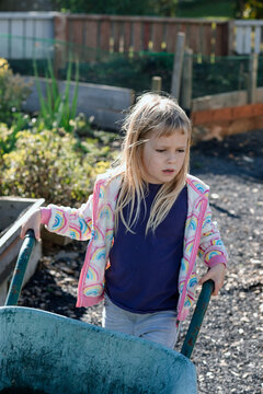 Girl pushing a wheelbarrow in allotment