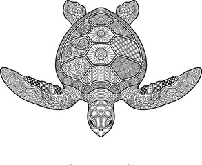 Fototapeta premium Detailed Sea Turtle Coloring Page Vector with Intricate Zentangle Shell Patterns and Oceanic Geometric Mandala Elements for Adult Stress Relief Hobby Book Designs