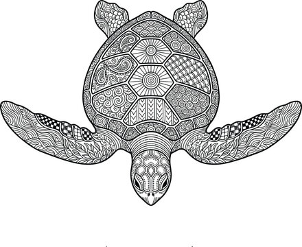 Detailed Sea Turtle Coloring Page Vector with Intricate Zentangle Shell Patterns and Oceanic Geometric Mandala Elements for Adult Stress Relief Hobby Book Designs