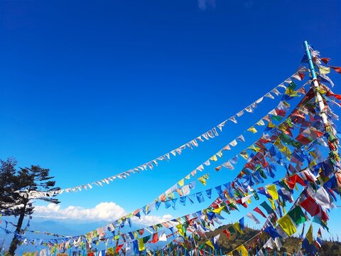 flags in the wind