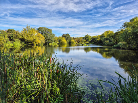 Morning Picture of Iremongers Pond in Nottingham