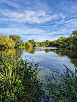 Morning Picture of Iremongers Pond in Nottingham, UK