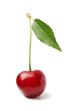 Fresh ripe cherry with green leaf isolated on white