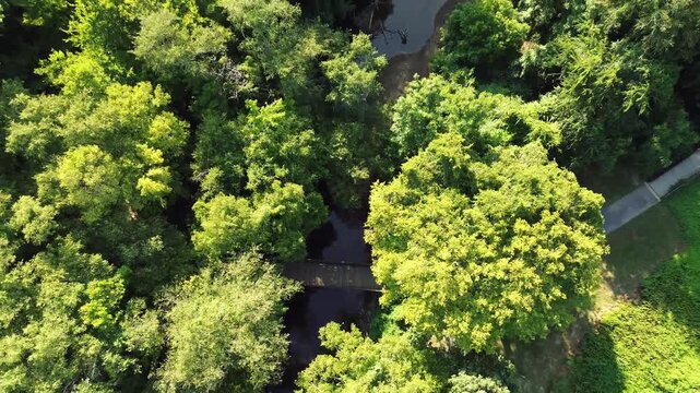 Overhead shot of the walking trails along Crabtree Creek  on the Raleigh greenway