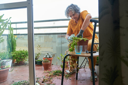 Senior woman enjoying gardening hobby on apartment balcony