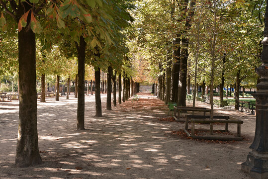 All&eacute;e du jardin des Tuileries &agrave; Paris en automne. France