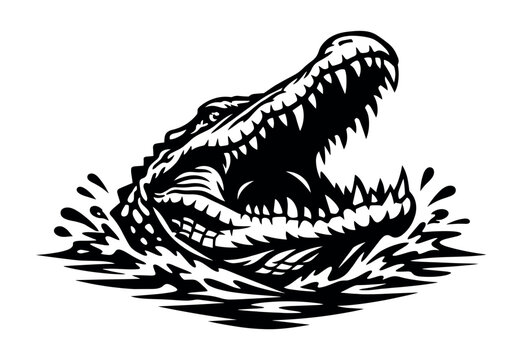 Fierce alligator with mouth open emerges from splashing water