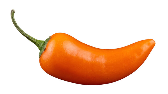 Vibrant orange habanero pepper isolated PNG on transparent background, fresh spicy chili ingredient for cooking and culinary use