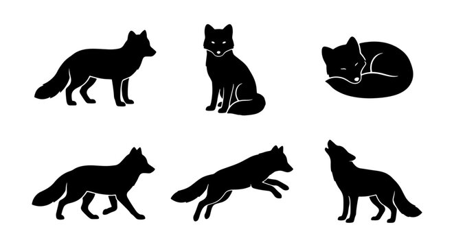 Black Fox Silhouettes, Woodland Animal Vector Icons, Wild Canine Poses, Nature Wildlife Graphic Elements, Hunting Mammal Collection