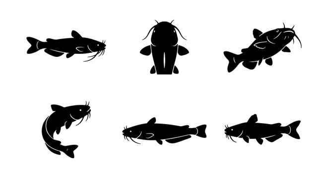 Catfish Vector Icons Set, Aquatic Animal Silhouettes, Freshwater Fish Graphics, Fishing and Seafood Illustrations