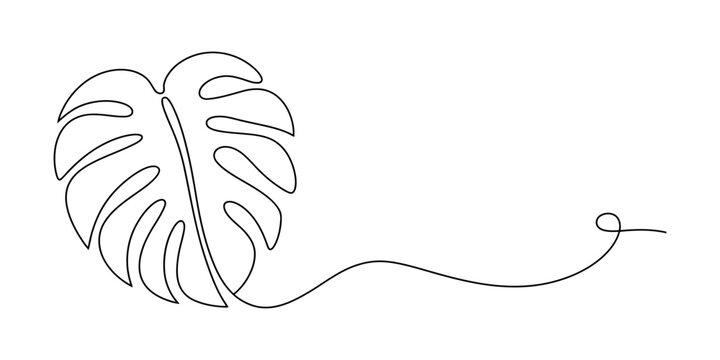 Monstera leaf drawing with one single continuous black line isolated on a white background Vector, illustration