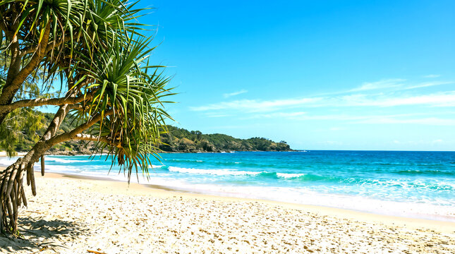 Scenic view of a tropical beach with white sand and turquoise ocean water under a clear blue sky tropical vacation paradise sunlight landscape