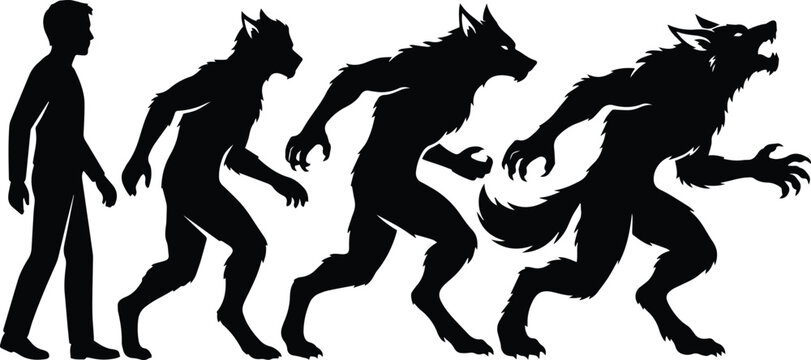 Fascinating human transformation into a werewolf silhouette vector illustration for dark fantasy horror design concepts