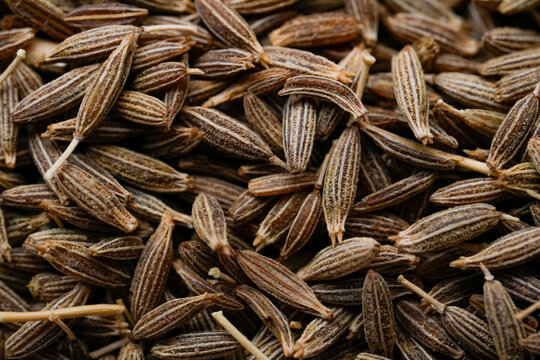 Cumin Seeds (Jeera) Closeup Photo