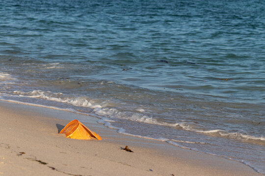 Plastic Bucket on Sandy Beach with Lapping Waves