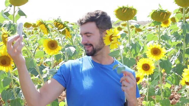 Influencer filming videos from a sunflowers field during the summer time 