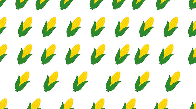 Seamless pattern of yellow corn cobs on white background