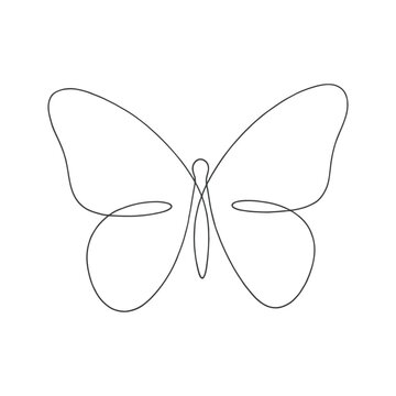 Butterfly with delicate wings isolated on white background vector illustration
