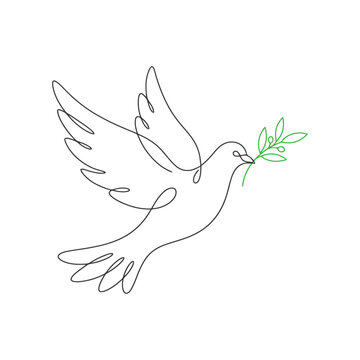 White dove flying with olive branch vector illustration isolated on white background