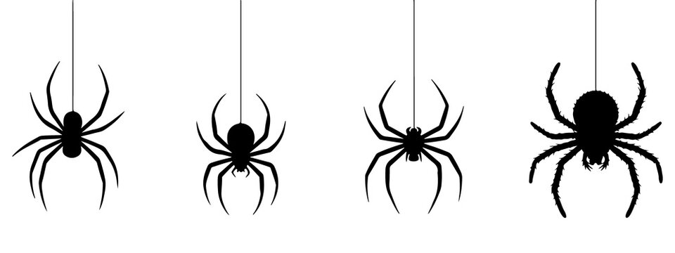 Four black spider silhouettes hanging by thin threads against a white background