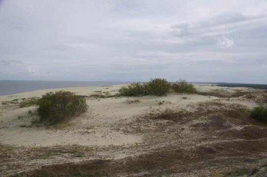 Panoramic view of vast sand dunes and coastal bushes at Curonian Spit under a cloudy sky