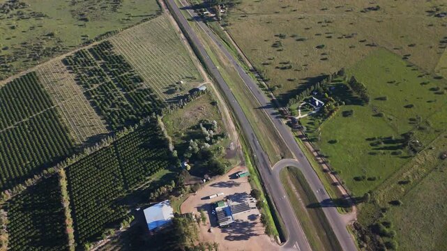 Top down aerial view of highway U-turn and fruit plantations in rural Argentina