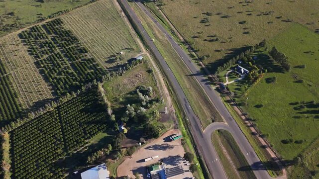 Top down aerial view of highway U-turn and fruit plantations in rural Argentina