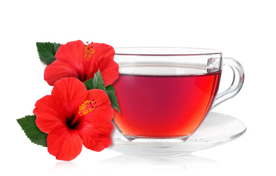 Freshly brewed hibiscus tea and red flowers isolated on white