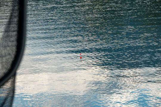 Fishing float on calm lake water.