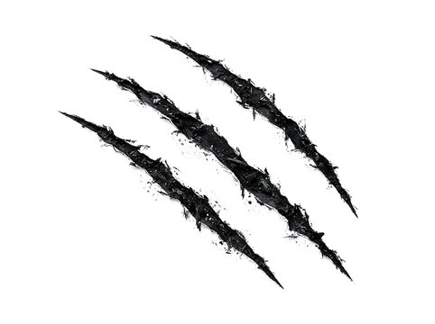 Black claw marks isolated on a white background representing a wild animal scratch or aggressive damage