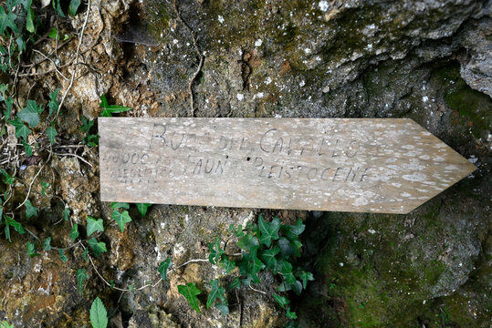 Directory markers in italian wood. Wooden signposts at parco archeologico Piano di Mommio, Massarosa, Tuscany, Italy.