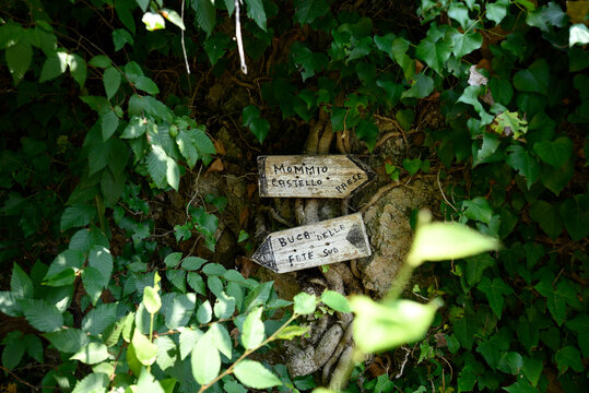 Directory markers in italian wood. Wooden signposts at parco archeologico Piano di Mommio, Massarosa, Tuscany, Italy.