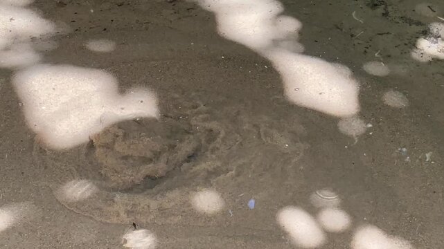 Natural Underwater Spring Bubbling Through Sand in Clear Water