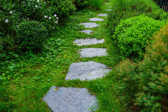 Garden landscape design with pathway in garden and footpath in picturesque summer park and staircase in backyard,Paving stones on floor in park,space for text.